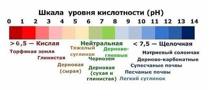 Шкала уровня кислотности.