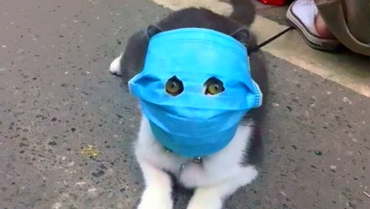 Пример импровизированной маски.