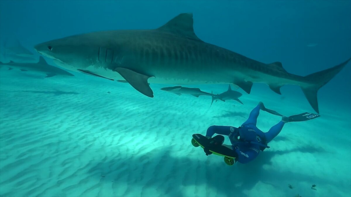 Только бы не заметила.....