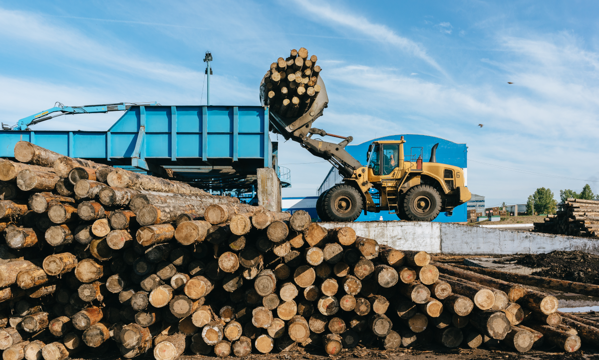 до лпк. усть-илимский лесопромышленный комплекс.