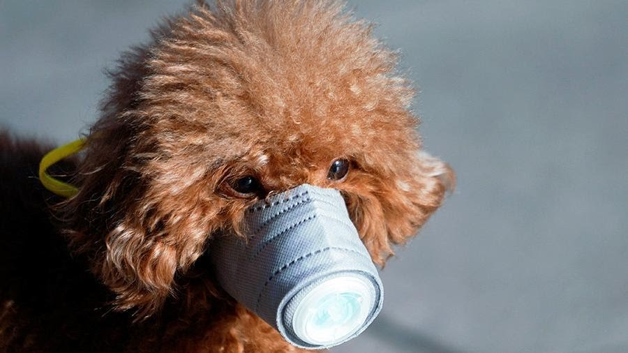 Кайфовая маска