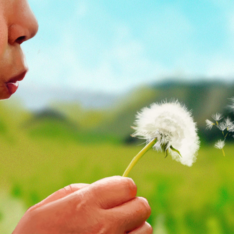 из интернета 