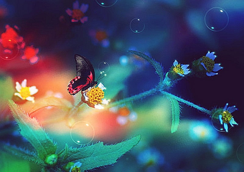 Источник : Kilke.net