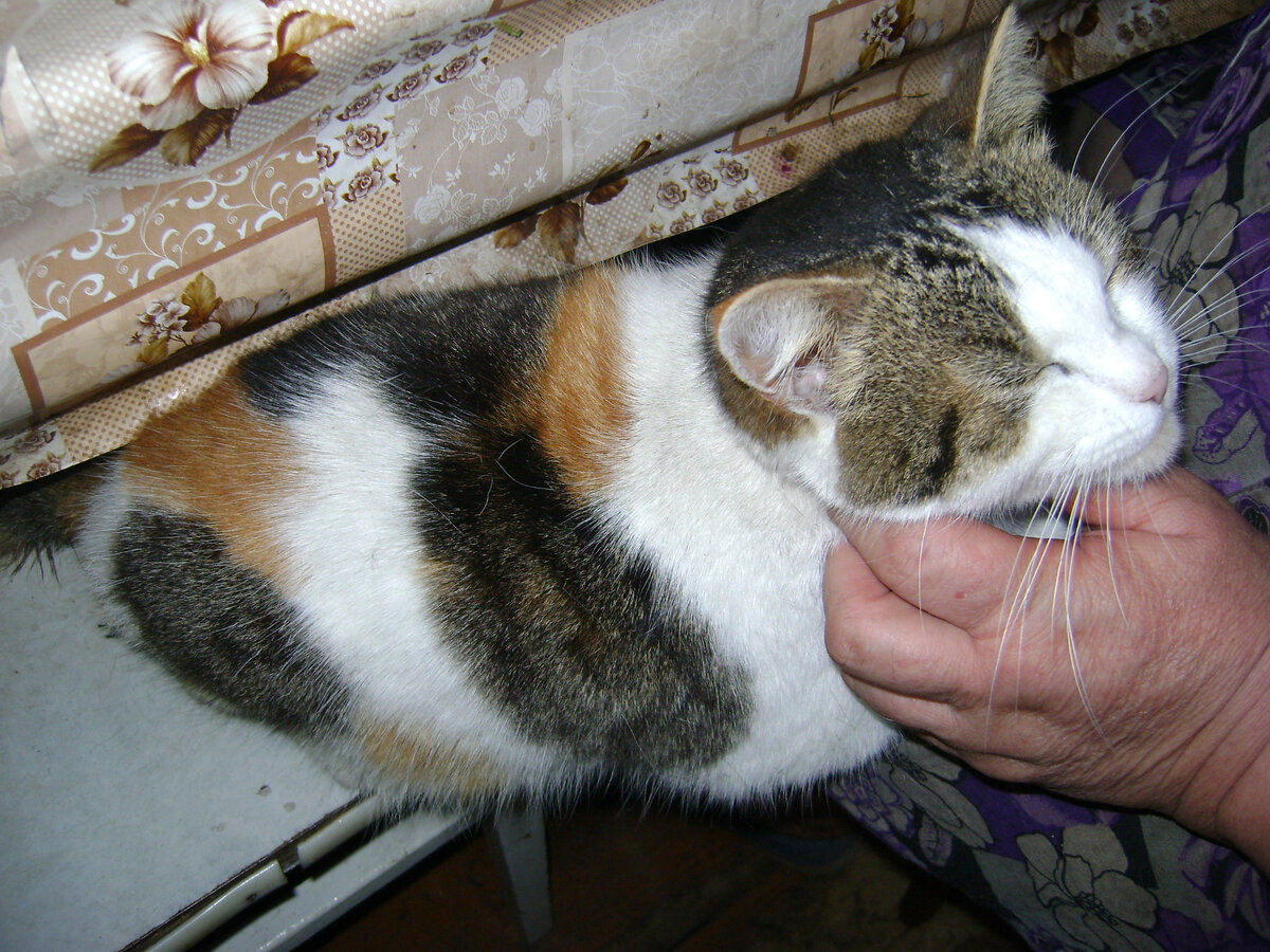 Моя Глаша до болезни.