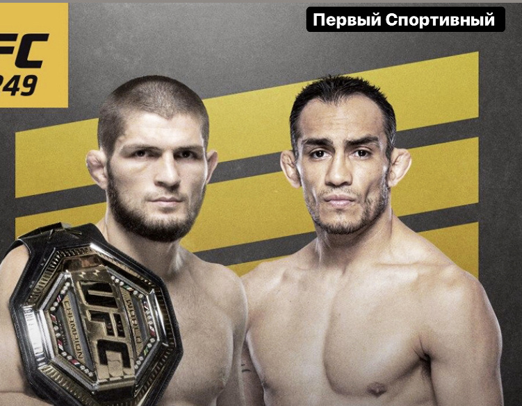 Баннер для UFC 249