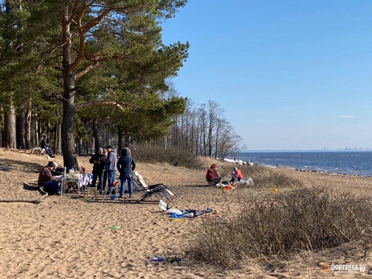 "Корона-вирусные пикники", источник фото news.myseldon.com
