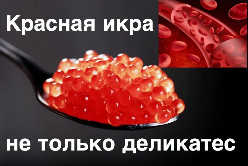 Икра поднимает гемоглобин. Красная икра для гемоглобина. Железо в икре. Икра для повышения гемоглобина. Железо продукты икра.