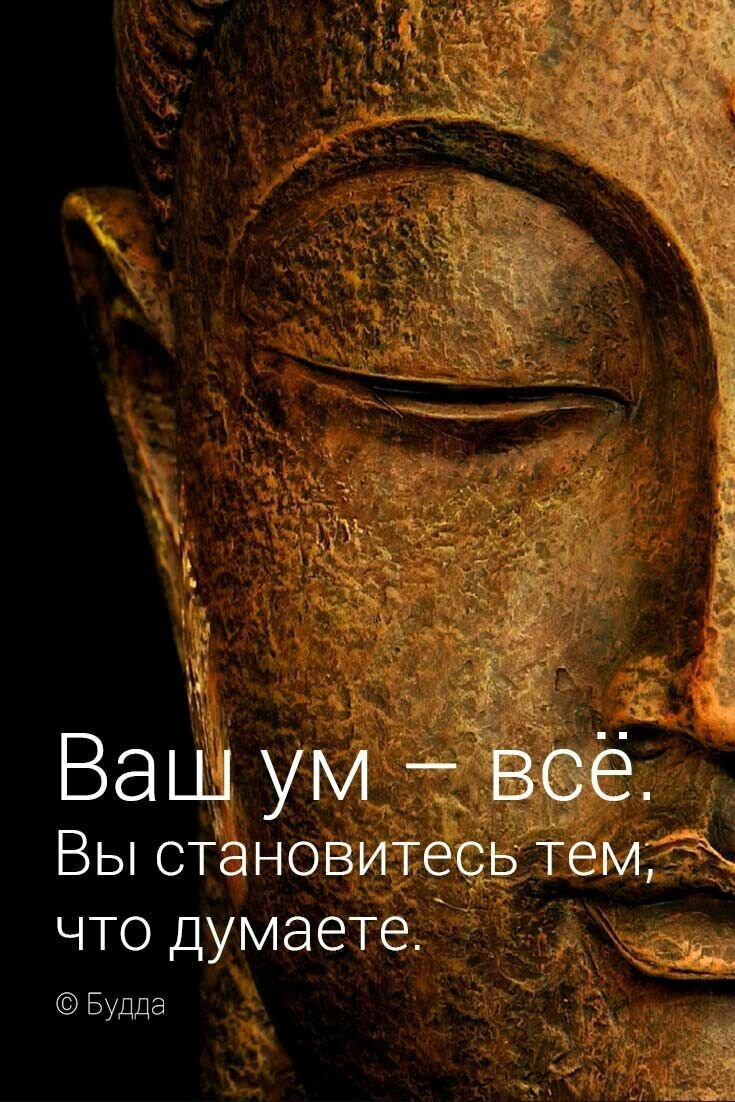 Не мир определяет твою реальность, а то, как ты его видишь. Ни дождливая погода, ни обидное слово, ни спущенная шина не плохи сами по себе. Как только ты перестаешь видеть все в черном цвете, мир становится гораздо более гостеприимным местом.