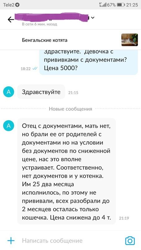 А чтобы не быть голословными, вот скрин переписки с продавцом из того объявления