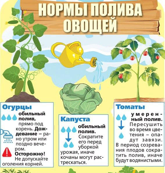 картинка из интернета