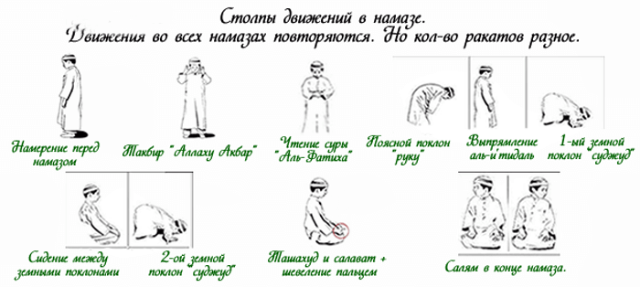 Намаз научиться женщине с нуля на русском. Схема совершения намаза. Намаз для начинающих омовение. Как делать намаз картинки. Как делать намаз мужчине.