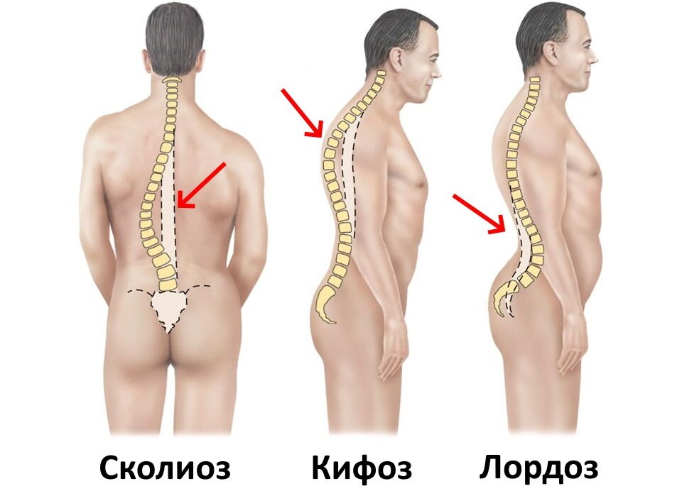 Фото из открытых источников yandex.ru