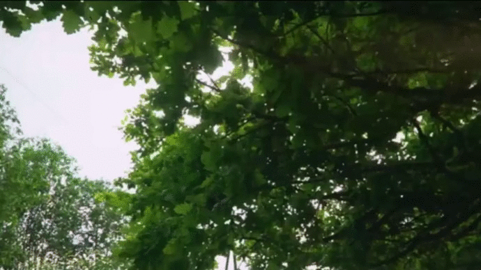 Lexus LX470. Лиса Рулит