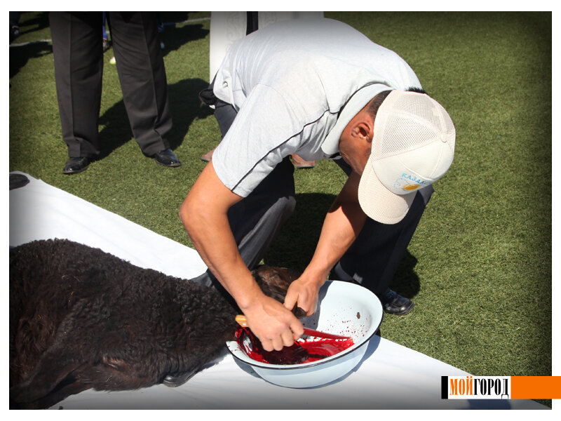 Это баран, отдавший жизнь за победу казахов