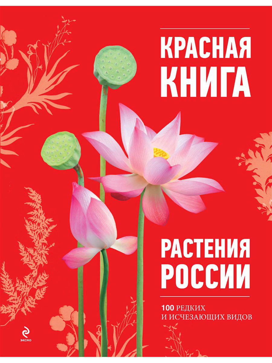 Книжка-игрушка Растения на липучках