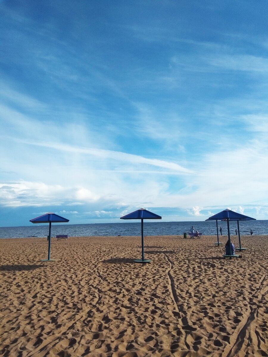 Финский залив