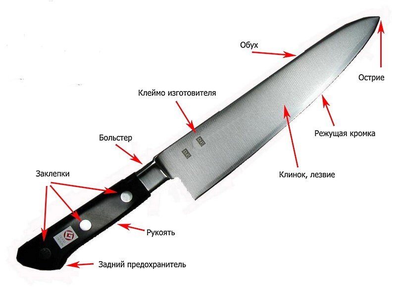 Название частей ножа криминалистика. Основные конструктивные элементы ножа криминалистика. Строение ножа криминалистика. Части кухонного ножа.