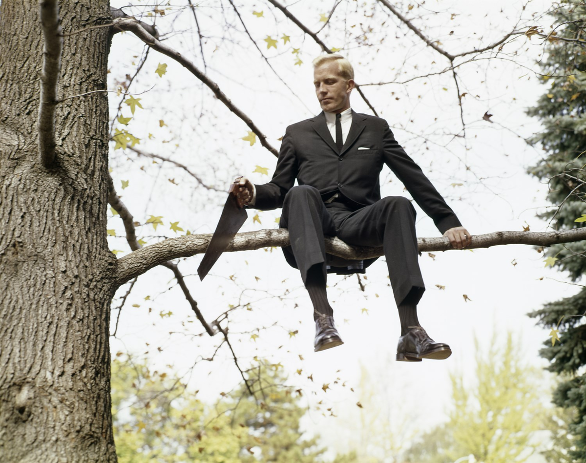 The tree is falling. Пилит сук на котором сидит. Рубить сук на котором сидишь. Человек сидит на дереве