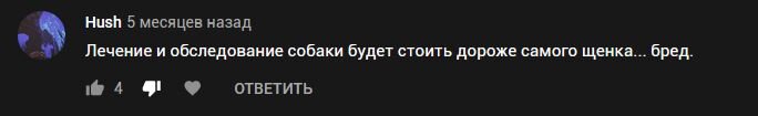 Коментарий на ютубе