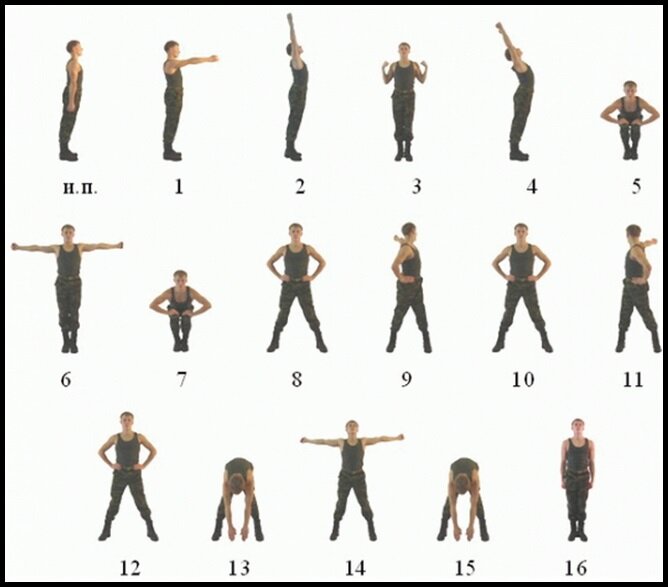 Комплекс упражнений (картинка взята из интернета)