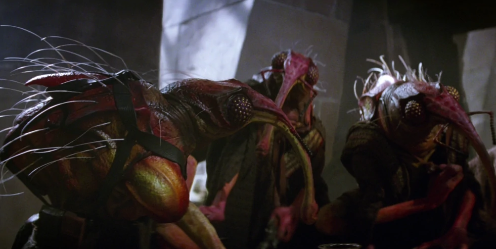 Кулисеттонцы (изображение взято из открытого источника)