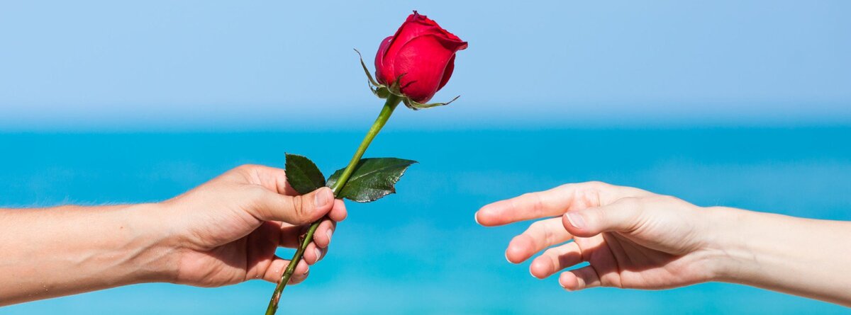 Источник: Яндекс Картинки