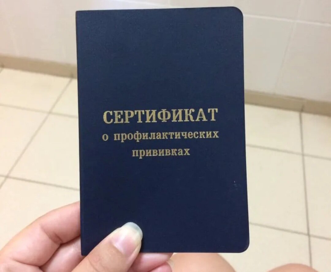 Фото из открытых источников в интернете