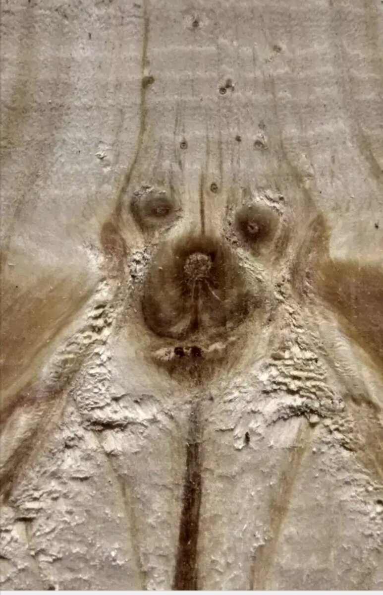 Фото из открытых источников