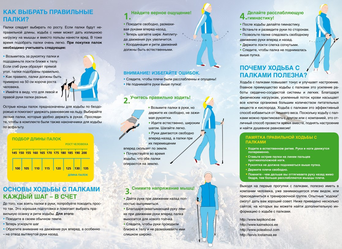 Что делает ходьба. Методика скандинавской ходьбы с палками для начинающих. Методика скандинавской ходьбы с палками для пожилых. Правила ходьбы со скандинавскими палками для начинающих. Техника скандинавской ходьбы для начинающих с палками