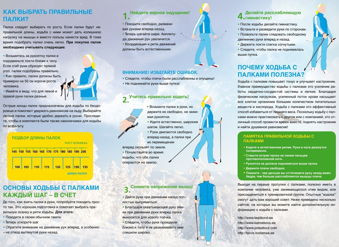 Что делает ходьба. Методика скандинавской ходьбы с палками для начинающих. Методика скандинавской ходьбы с палками для пожилых. Правила ходьбы со скандинавскими палками для начинающих. Техника скандинавской ходьбы для начинающих с палками.