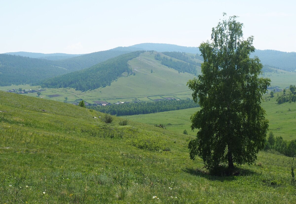 Хакасские просторы