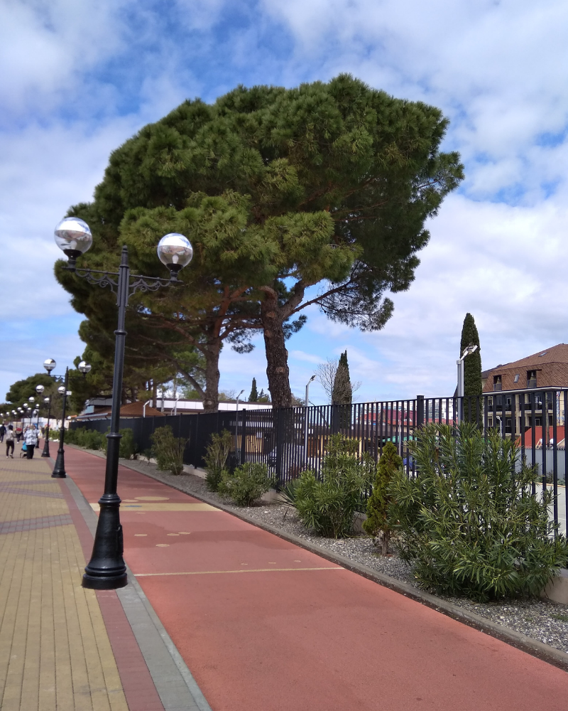 Велодорожка на набережной