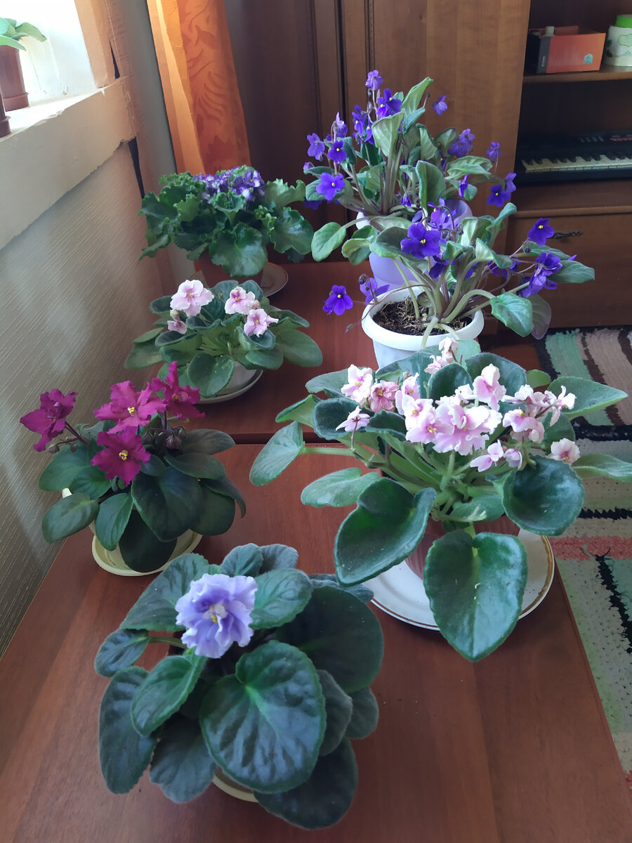 Фото автора