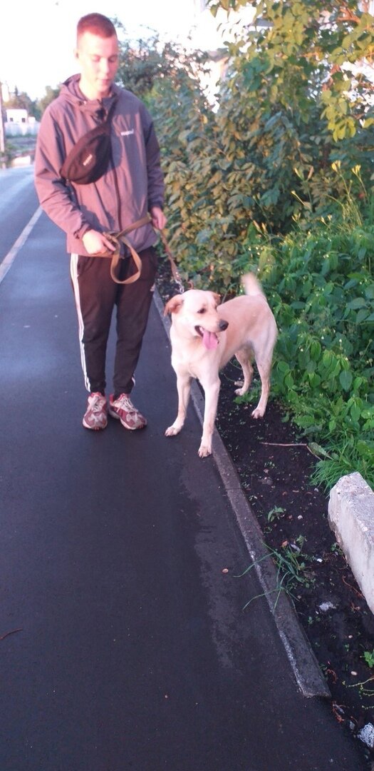 Тео с новым хозяином. Фото автора.