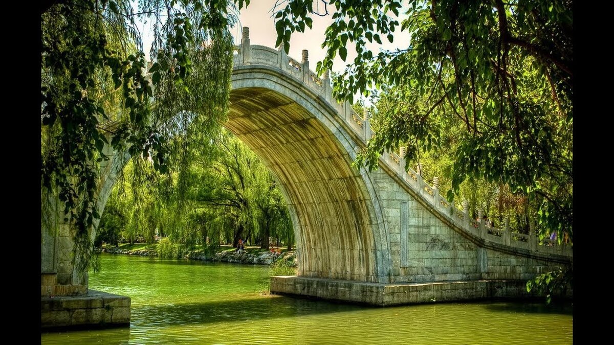 фото из интернета