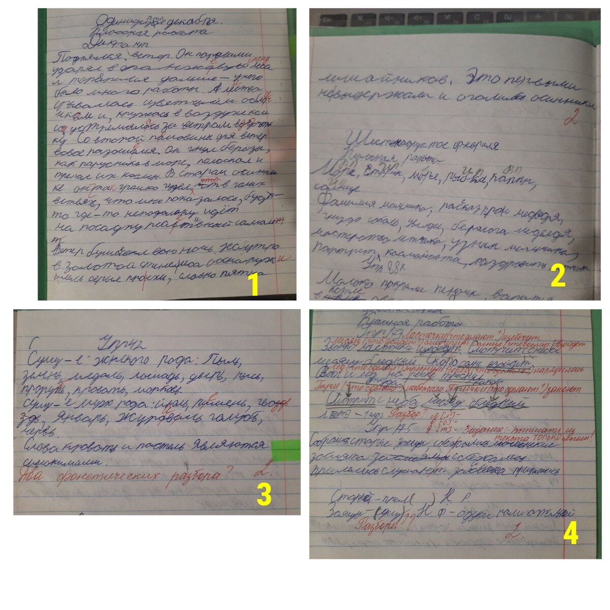 Рисунки 1 и 2 продолжение - перепроверка завучем показала, что 2 необоснованная, она пунктуационные ошибки принимала также за грамматические. 3 рис. - да какого хера оценка 2? А выполненные задания не в счет? 4 рис. - К чему переписывать полностью предложения, когда можно показать только ошибки, не вставил вопрос в нужном месте. 