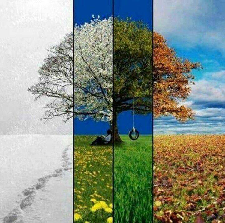 Landscape in four seasons (Yandex Picture)