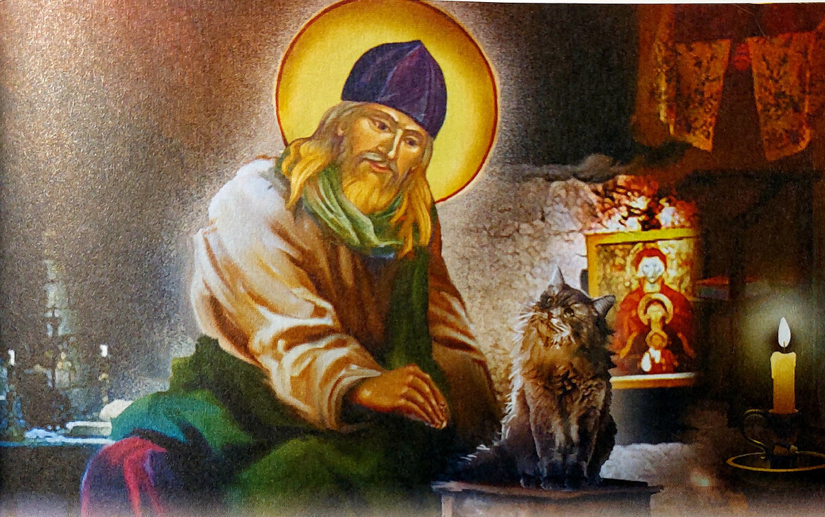 Нектарий Оптинский и его котик. Фото мое. Из книги "Можно ли муравью ходить в храм?"