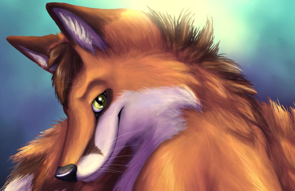 Лис. Картинка из интернета.