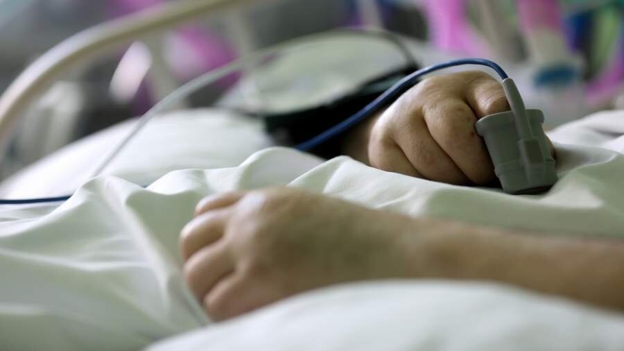 Фото: ИЗВЕСТИЯ/Зураб Джавахадзе