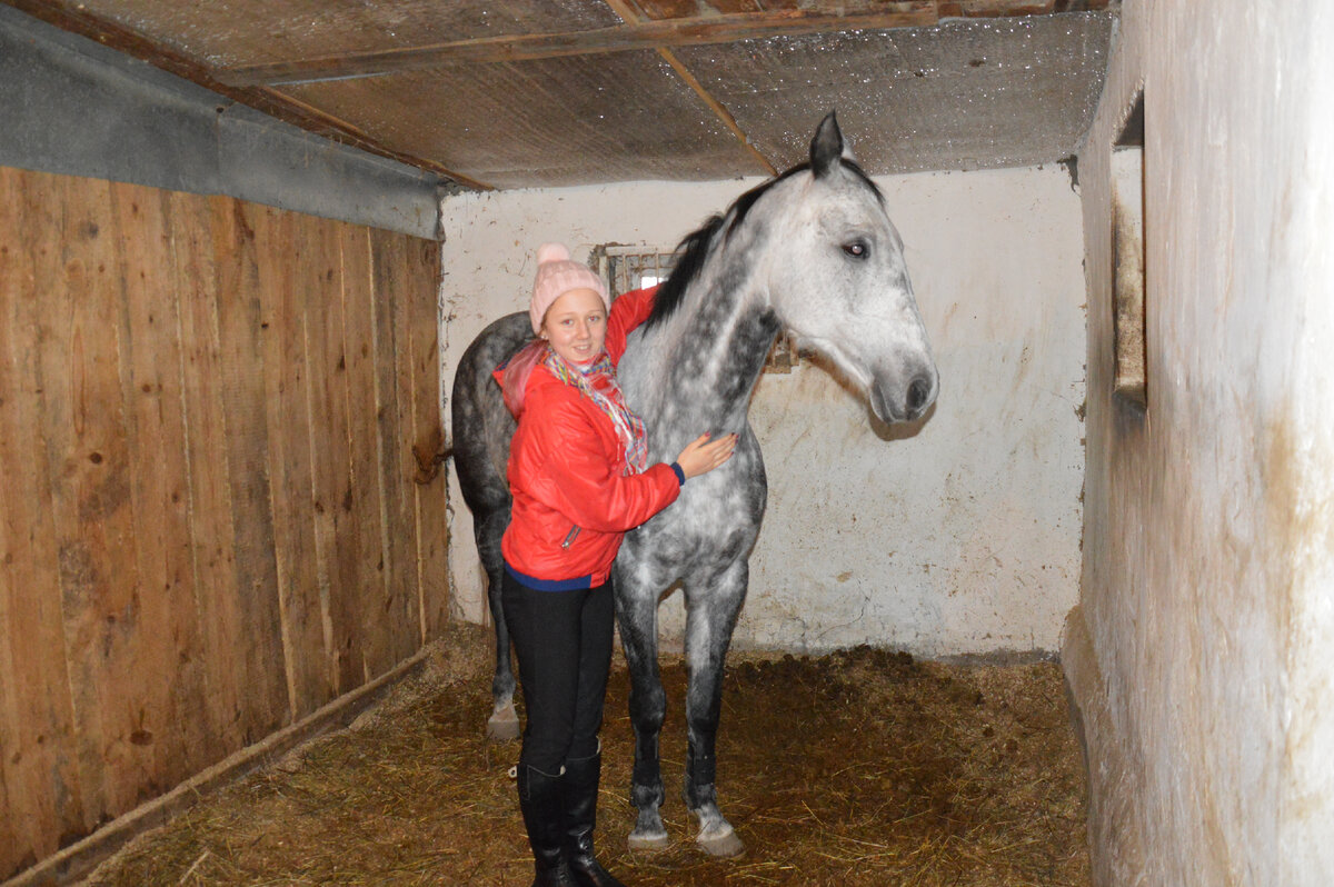 Дом пестрой лошади — частная конюшня в Строгино