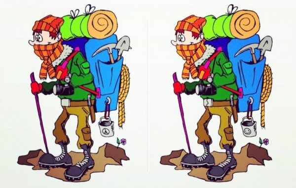 Фото из свободных источников