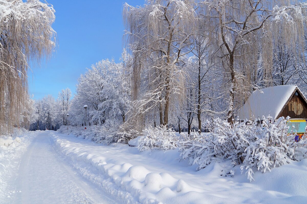 Зима – как много в этом слове для сердца русского слилось !