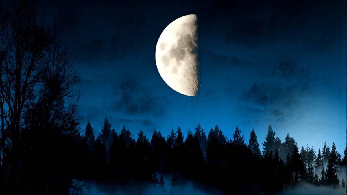 Иллюстрация из открытых источников