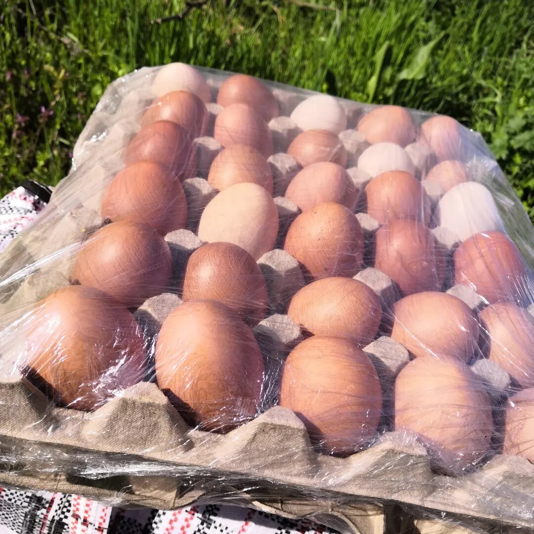 Продукция по заказу с доставкой 
