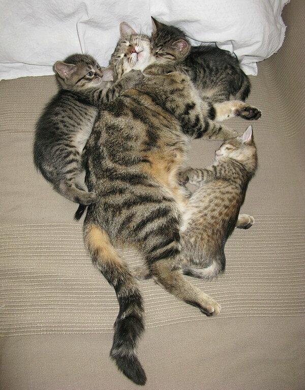 Фото из интернета