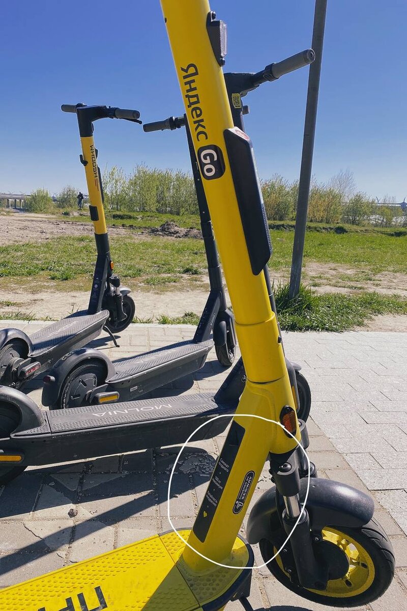 На шеринговых электросамокатах либо есть надпись Powered by Segway, либо designed by  Ninebot, либо просто Ninebot
