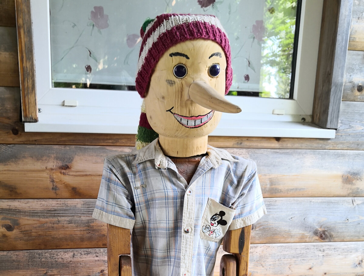 Вас встречает Буратино