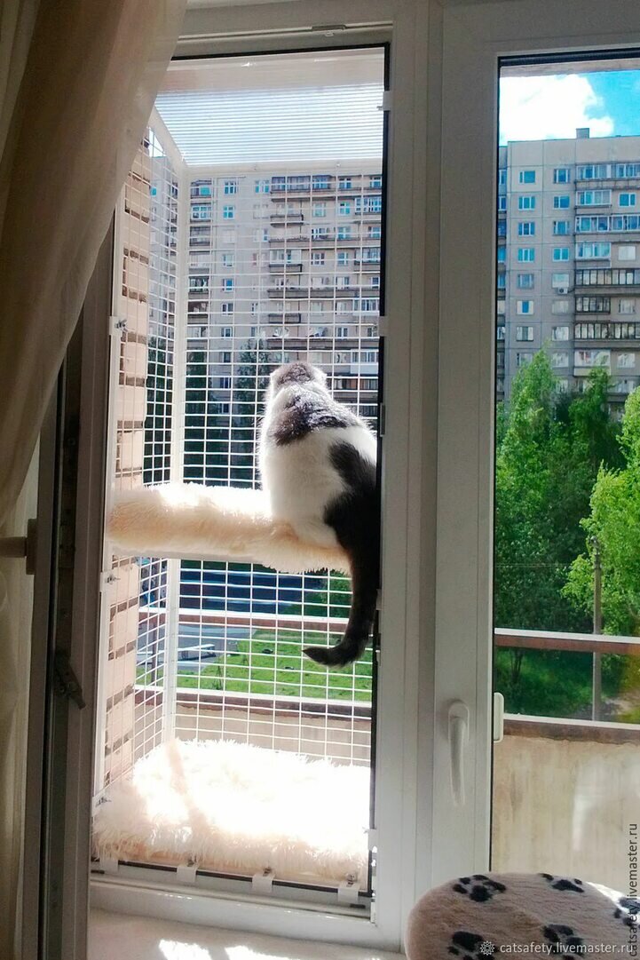 Кошка окно москва