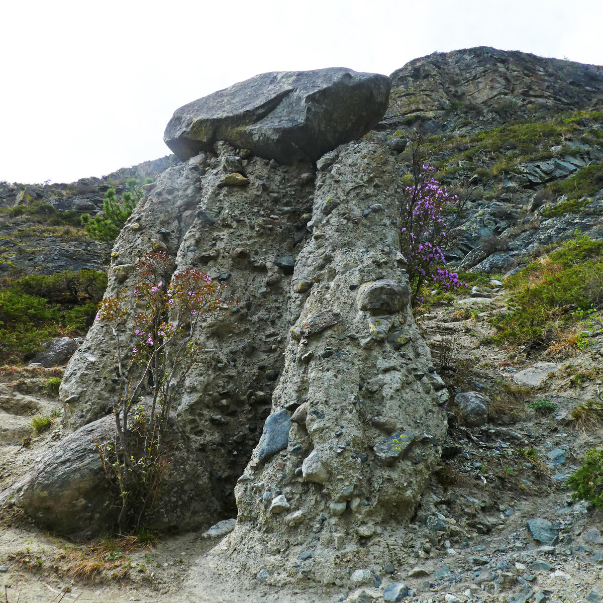 Урочище Аккурум с Каменными грибами - одно из чудес России, сотворённое самой природой, всего в 34 км от перевала Кату-Ярык.-5-6